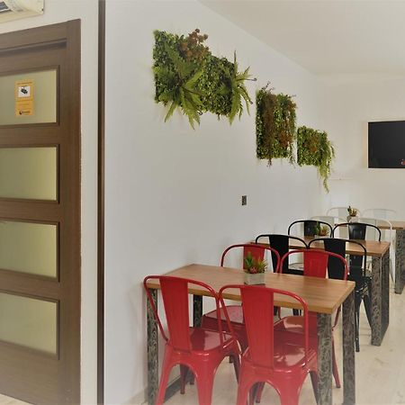 El Hostal De Violeta Tomelloso Extérieur photo